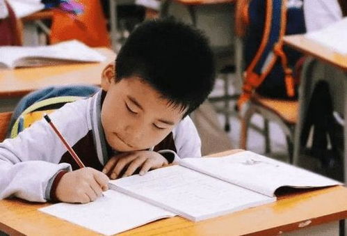 教育部新规落地 课后服务全面升级，家长纷纷点赞