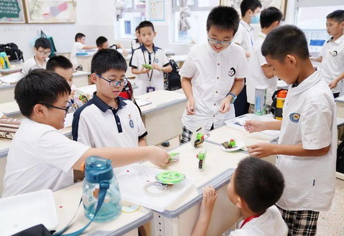 玉环 树导向、列清单、强保障，加快构建城乡一体化课后服务新格局